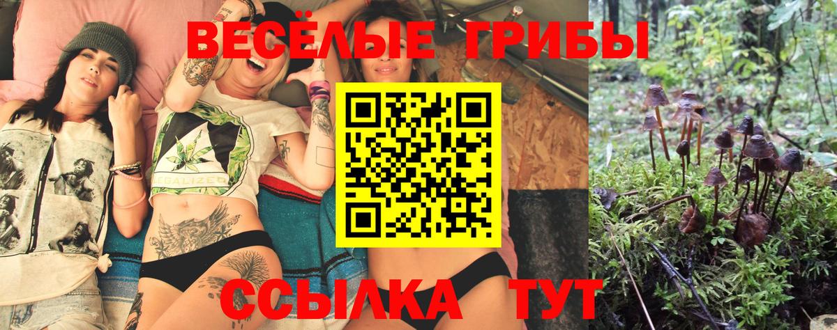 Псилоцибиновые грибы ЛСД Сертолово